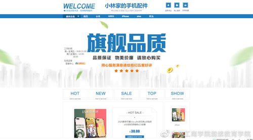 2020電子商務網店策劃與經營技能競賽 電子商務運營服務的核心與實踐